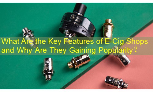 What Are the Key Features of E-Cig Shops and Why Are They Gaining Popularity？