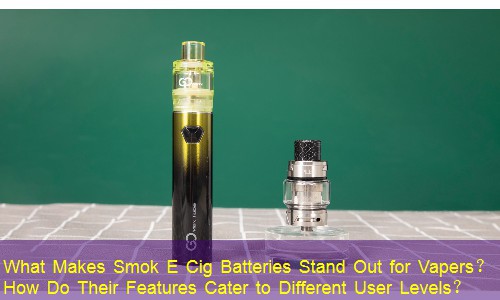 What Makes Smok E Cig Batteries Stand Out for Vapers？ How Do Their Features Cater to Different User Levels？