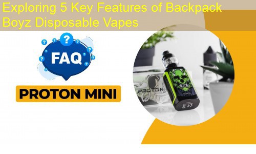 Exploring 5 Key Features of Backpack Boyz Disposable Vapes