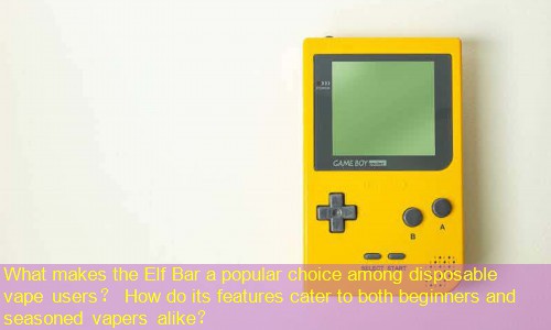 What makes the Elf Bar a popular choice among disposable vape users？ How do its features cater to both beginners and seasoned vapers alike？