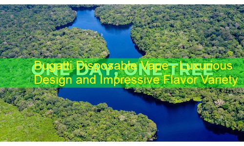Bugatti Disposable Vape - Luxurious Design and Impressive Flavor Variety