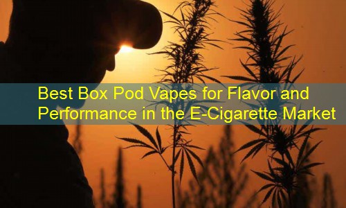 Best Box Pod Vapes for Flavor and Performance in the E-Cigarette Market