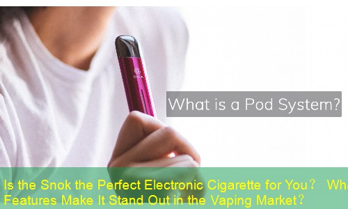 Is the Snok the Perfect Electronic Cigarette for You？ What Features Make It Stand Out in the Vaping Market？
