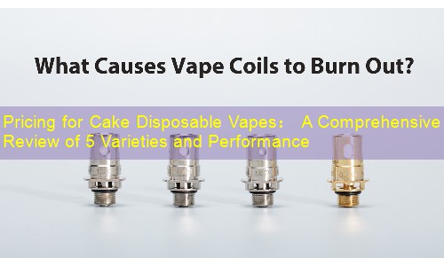 Pricing for Cake Disposable Vapes： A Comprehensive Review of 5 Varieties and Performance