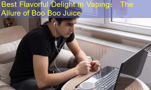 Best Flavorful Delight in Vaping： The Allure of Boo Boo Juice