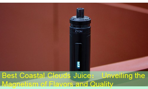 Best Coastal Clouds Juice： Unveiling the Magnetism of Flavors and Quality