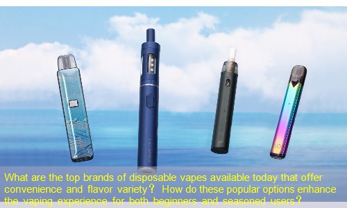 What are the top brands of disposable vapes available today that offer convenience and flavor variety？ How do these popular options enhance the vaping experience for both beginners and seasoned users？