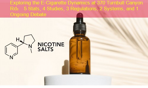 Exploring the E-Cigarette Dynamics at 370 Turnbull Canyon Rd： 5 Stats, 4 Studies, 3 Regulations, 2 Systems, and 1 Ongoing Debate