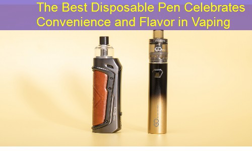 The Best Disposable Pen Celebrates Convenience and Flavor in Vaping