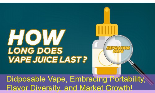 Didposable Vape, Embracing Portability, Flavor Diversity, and Market Growth!