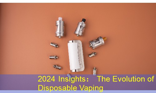 2024 Insights： The Evolution of Disposable Vaping