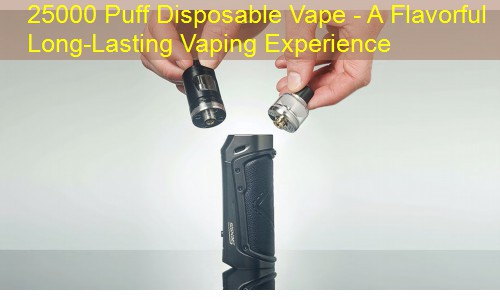 25000 Puff Disposable Vape - A Flavorful Long-Lasting Vaping Experience