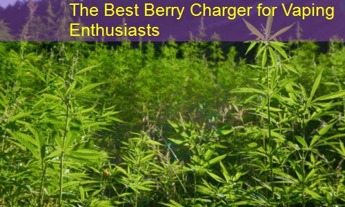 The Best Berry Charger for Vaping Enthusiasts