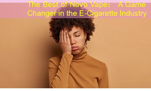 The Best of Novo Vape： A Game Changer in the E-Cigarette Industry