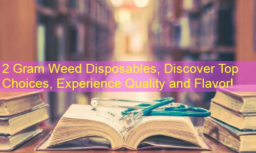 2 Gram Weed Disposables, Discover Top Choices, Experience Quality and Flavor!