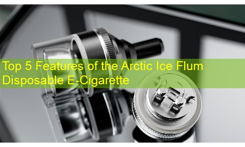 Top 5 Features of the Arctic Ice Flum Disposable E-Cigarette