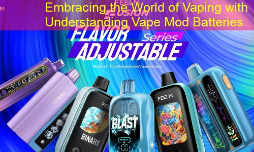 Embracing the World of Vaping with Understanding Vape Mod Batteries