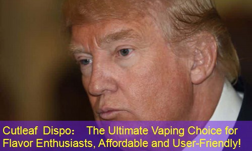 Cutleaf Dispo： The Ultimate Vaping Choice for Flavor Enthusiasts, Affordable and User-Friendly!