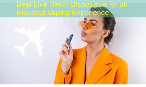 Best Live Resin Disposable for an Elevated Vaping Experience