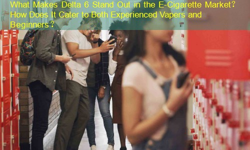 What Makes Delta 6 Stand Out in the E-Cigarette Market？ How Does It Cater to Both Experienced Vapers and Beginners？